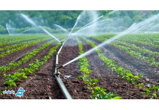 کیفیت آب آبیاری و تاثیر آن بر تغذیه گیاه